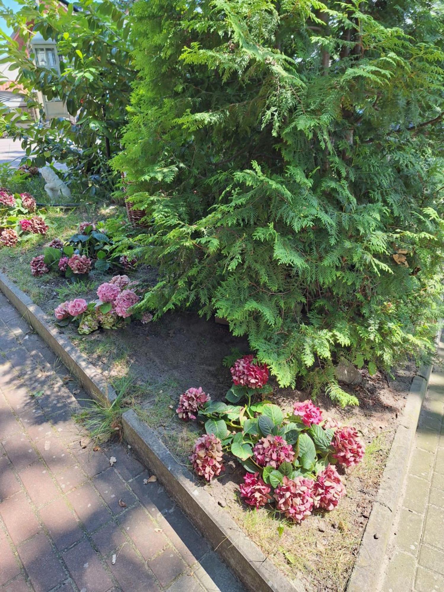 Domek Letniskowy 3 Os Pod Bukiem Miedzyzdroje Esterno foto